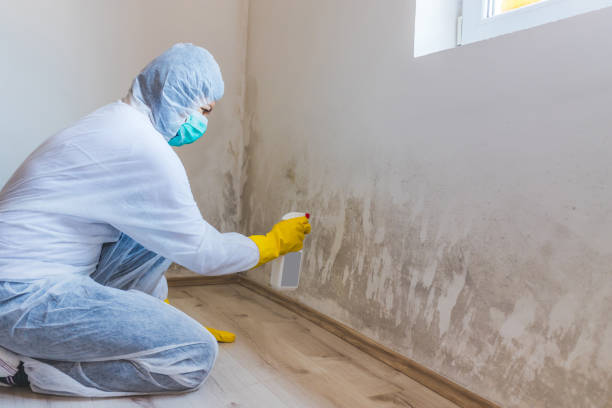 Hvac And Air Duct Mold Remediation inspection of HVAC system in Front Royal
